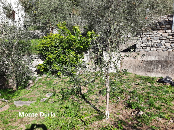 Monte Duria