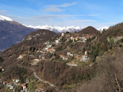 Perledo