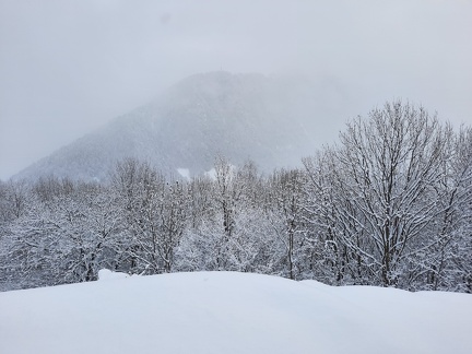 Nevicata del 2021 nel bosco - Monte Croce di Muggio