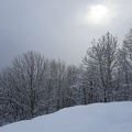 Nevicata del 2021 nel bosco - Monte Croce di Muggio